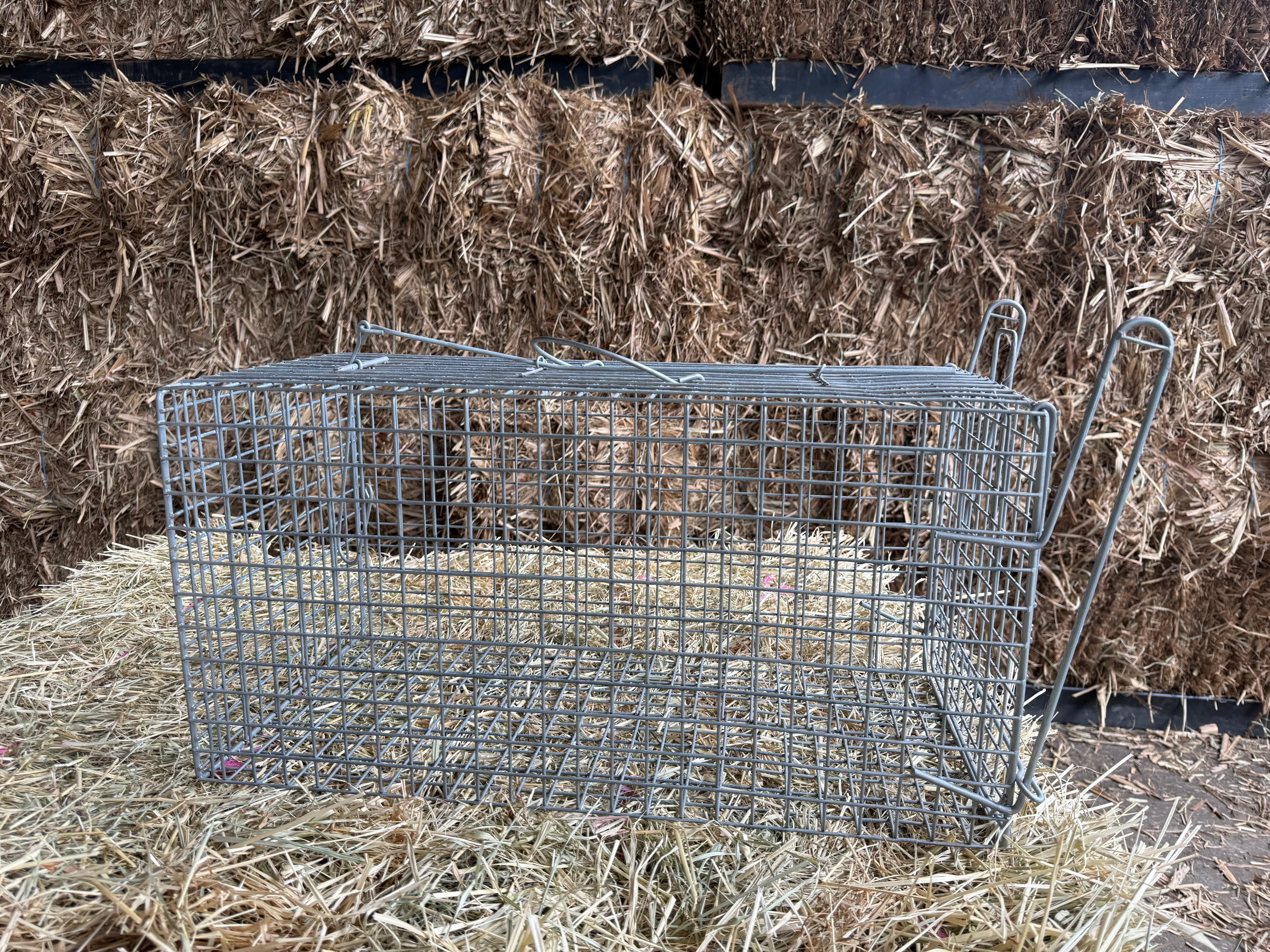 Vermin Trap Local Cat/Feral Animal Foot Plate 60(L)x30(W)x30(H) - Image 2