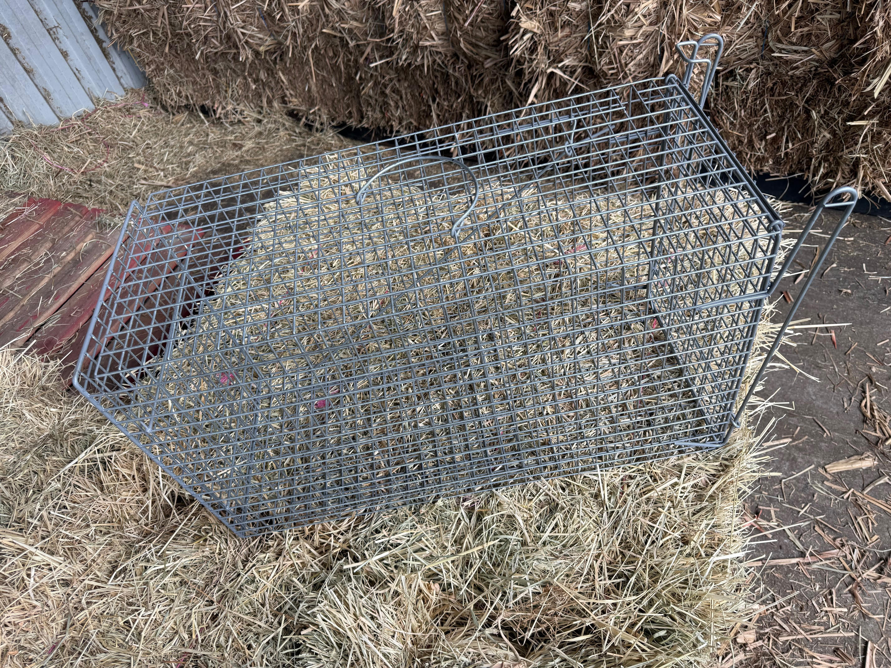 Vermin Trap Local Turkey 70(L)x30(W)x40(H) - Image 3