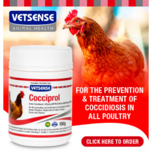 Vetsense Cocciprol (200g/kg Amprolium) - Image 3