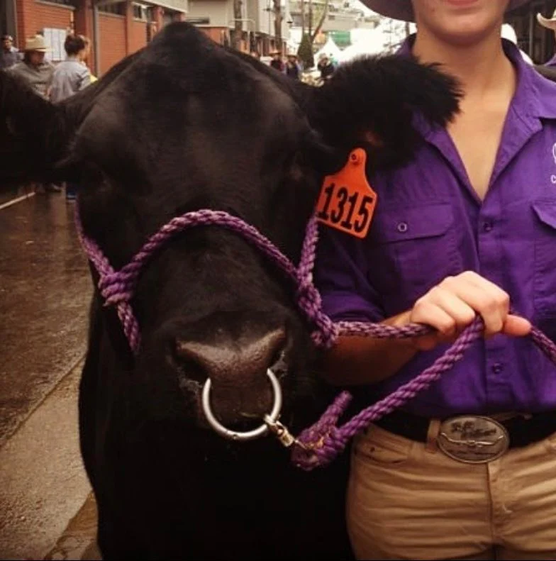 Weaver Poly Rope Cattle Halter with Lead - Image 2