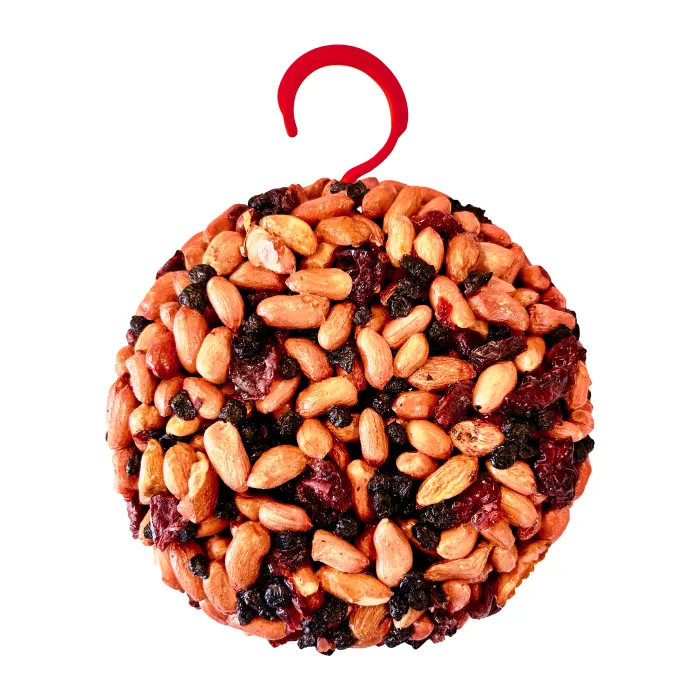 Whistler Parrot & Wildbird Pod Berries - Image 3