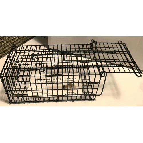 Wire Rat Trap - Spring Door - Image 2