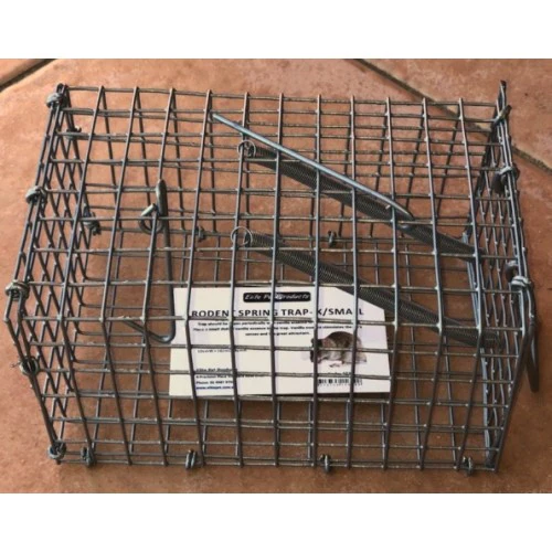Wire Rat Trap - Spring Door - Image 3