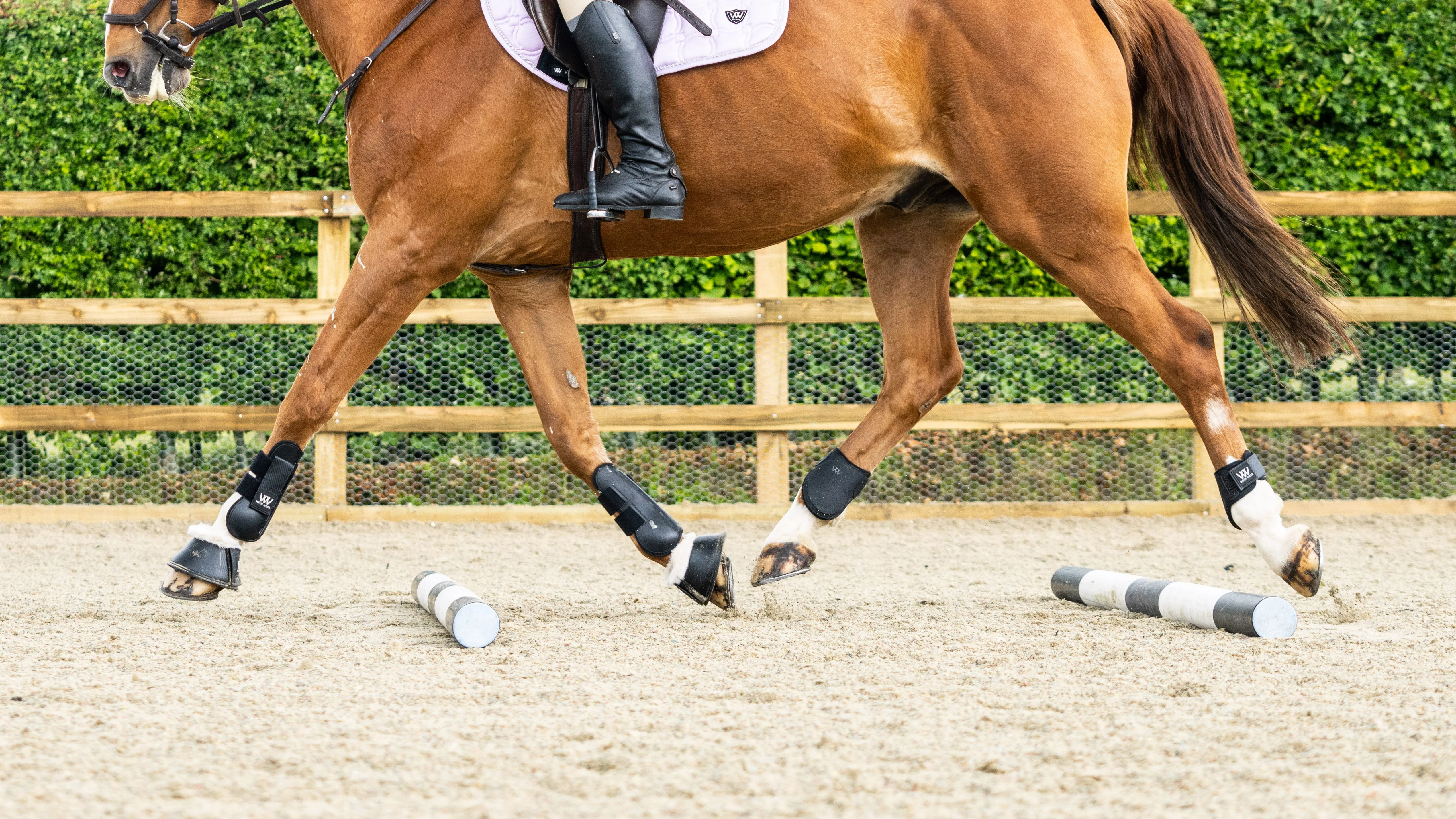 Woof Wear Pro Fetlock Boots - Image 3