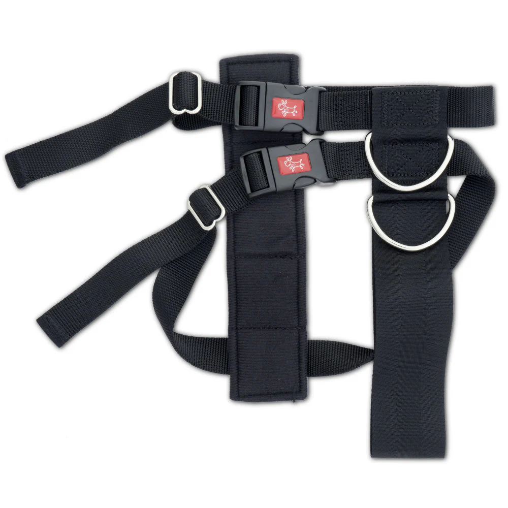 Yours Droolly Carsafe Harness - Image 8
