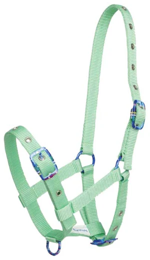 Zilco Fancy Buckle Foal Halter - Image 2