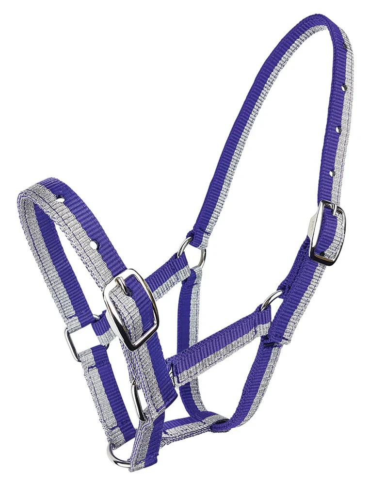 Zilco Sparkle Foal Halter - Image 3