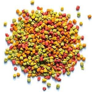 ZuPreem FruitBlend for Small Birds - Image 2